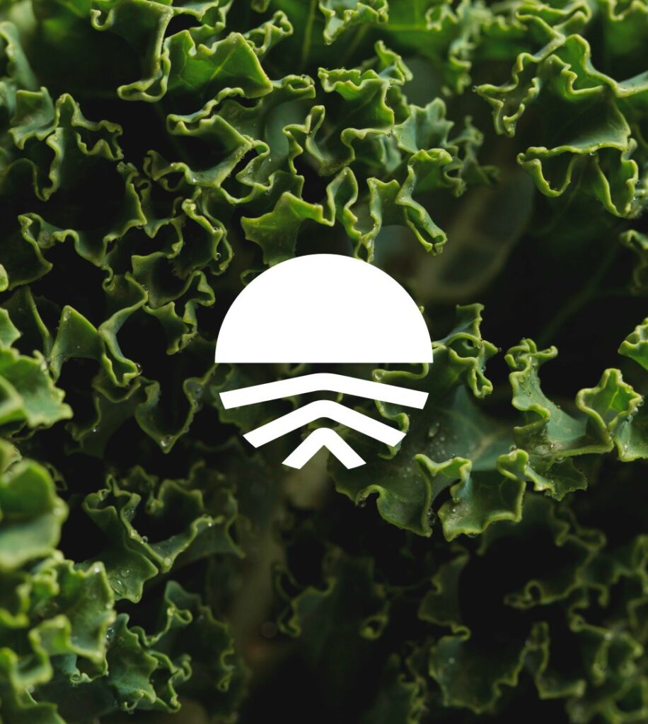 Food Ladder Green Leaf Logo